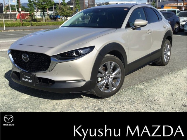 CX-301.8 XD プロアクティブ ツーリングセレクション