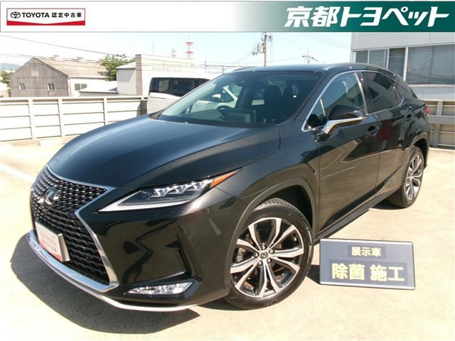 RX300 バージョンL