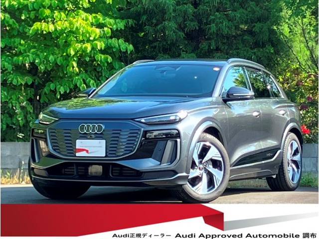 Q6 e-tronクワトロ アドバンスト Sラインパッケージ 4WD
