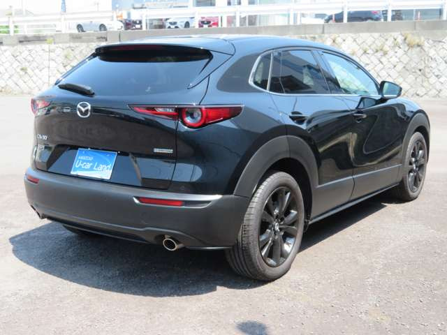 CX-302.0 20S ブラックトーンエディション