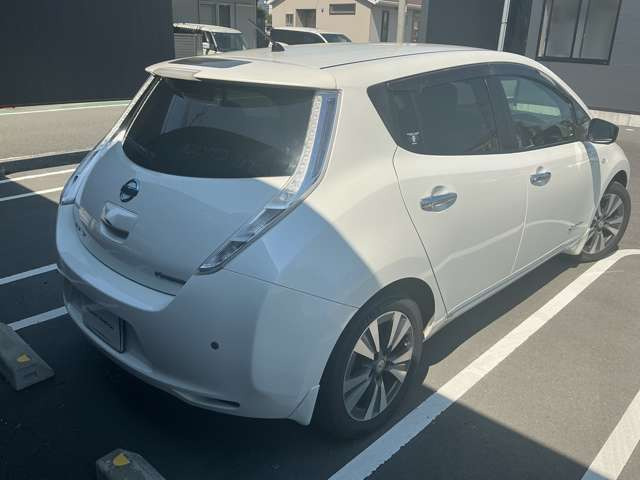リーフ30kWh G