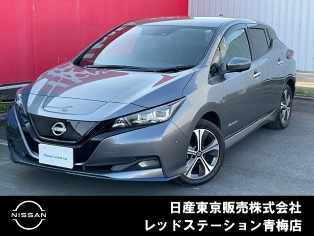 リーフe+ G