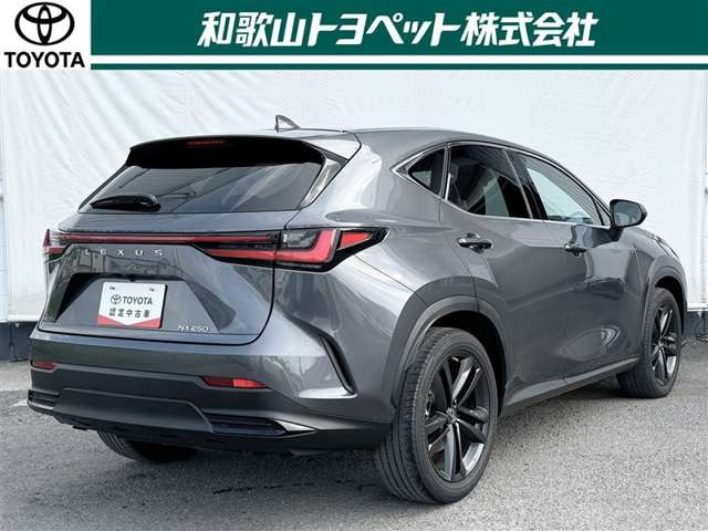 NX250 バージョンL
