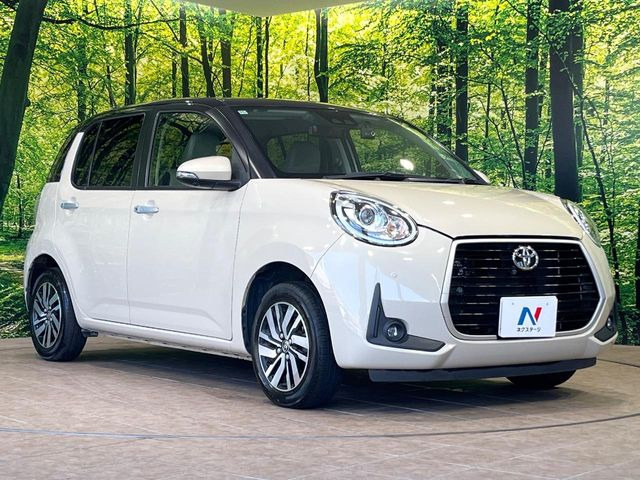 �������x�̃K���X�疌�ŝ����͂������A�㎿�ȃc���E����������B���O����_���J�����؂Ȉ��Ԃ�ی삵�A�F�����E�򉻂�h�~�B�u�e�X�v���b�V���R�[�g�v�A�u�e�v���~�b�T�R�[�g�v���炨�I�т��������܂��B