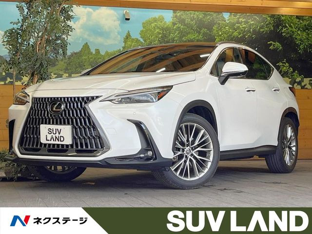 NX250 バージョンL