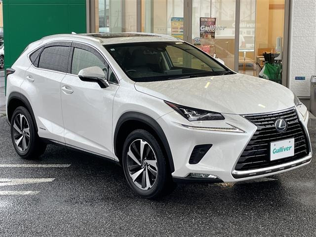 NX300h Iパッケージ