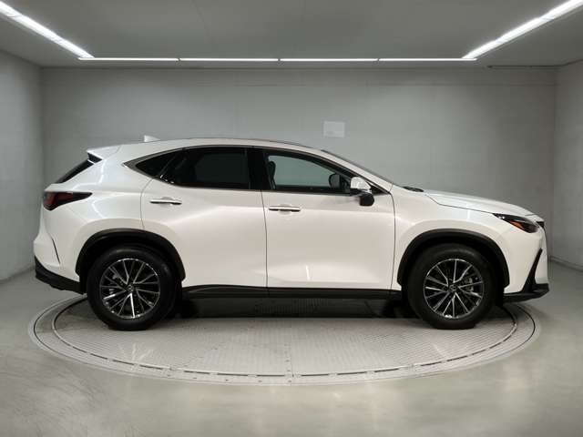 NX