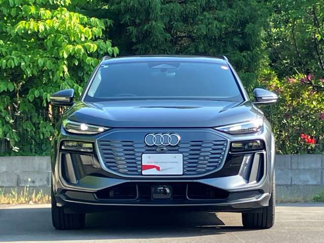 Q6 e-tronクワトロ アドバンスト Sラインパッケージ 4WD