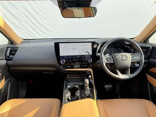 NX250 バージョンL