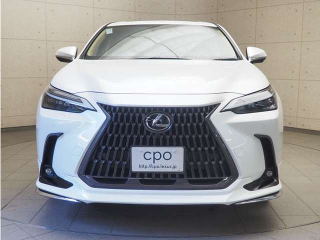 NX350h バージョンL