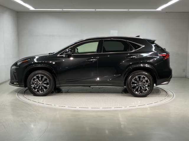 NX300 4WD