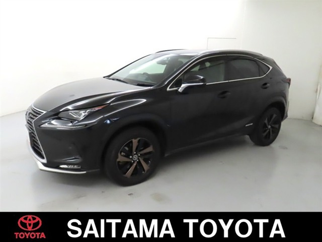 NX300h スパイス&シック 4WD