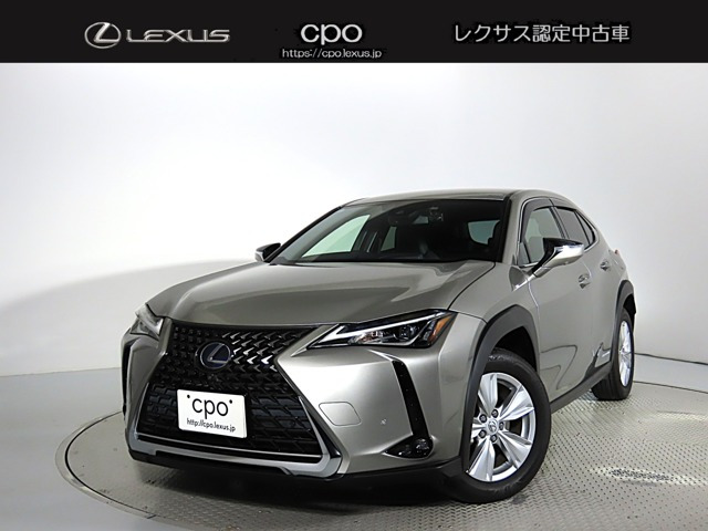 UX250h バージョンC