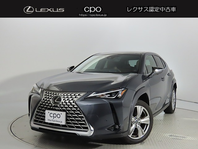 UX250h グレイスフル エクスプローラー