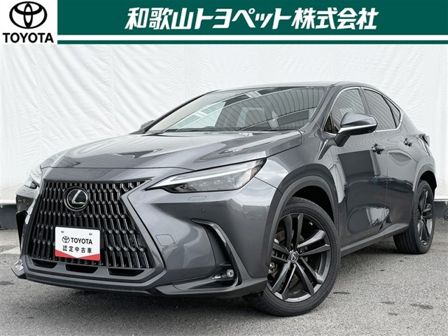 NX250 バージョンL