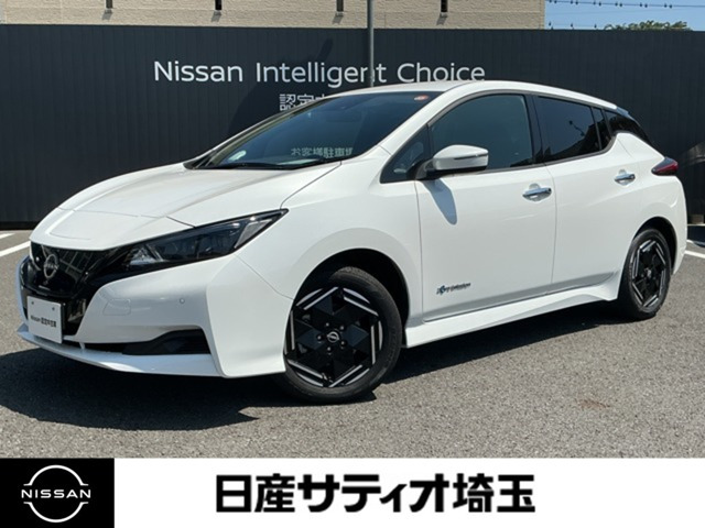リーフX