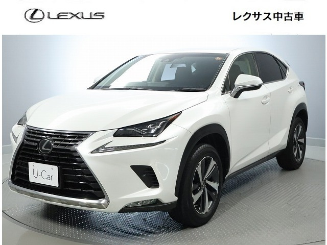 NX300 バージョンL 4WD