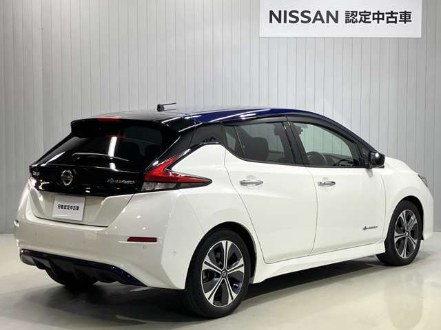 リーフG