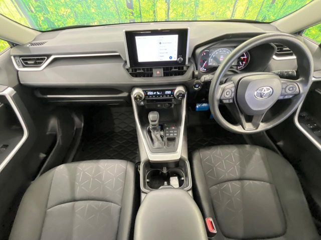 RAV42.0 X