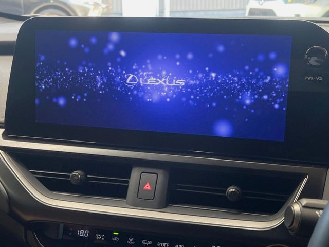 UX250h バージョンC