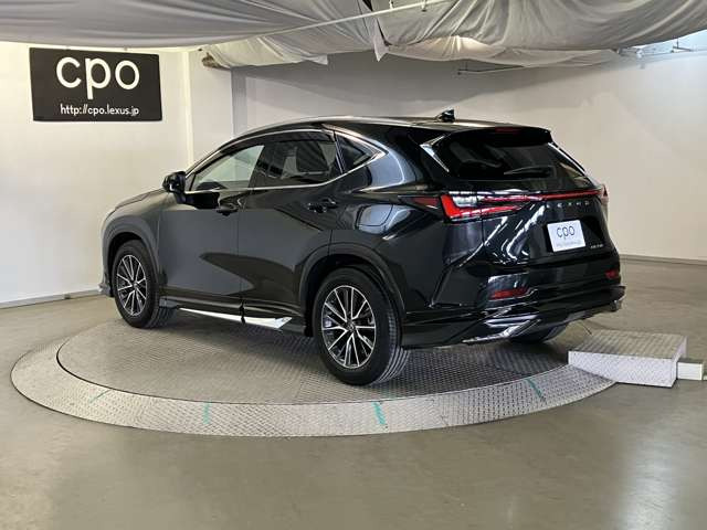 NX