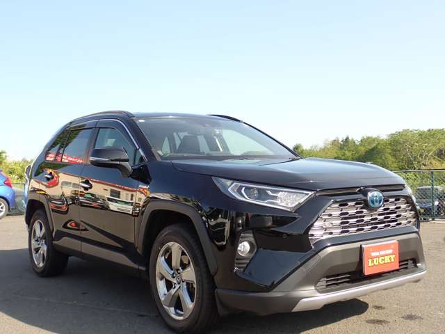 RAV42.5 ハイブリッド G E-Four 4WD