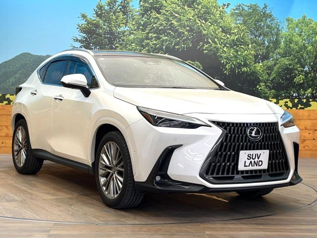 �������x�̃K���X�疌�ŝ����͂������A�㎿�ȃc���E����������B���O����_���J�����؂Ȉ��Ԃ�ی삵�A�F�����E�򉻂�h�~�B�u�e�X�v���b�V���R�[�g�v�A�u�e�v���~�b�T�R�[�g�v���炨�I�т��������܂��B