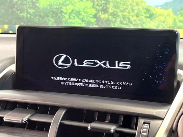 NX300h スパイス&amp;シック