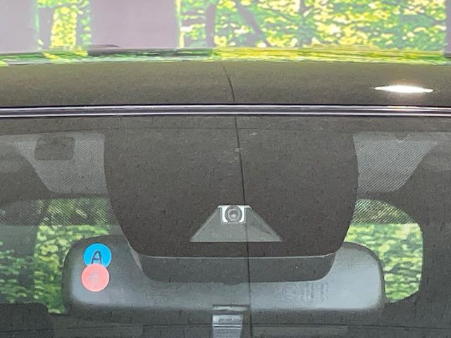 RAV42.0 X