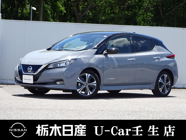 リーフG