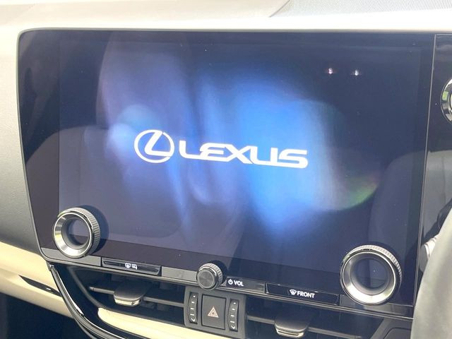 NX250 バージョンL