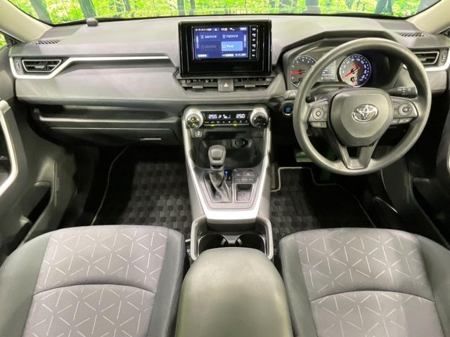RAV42.0 X