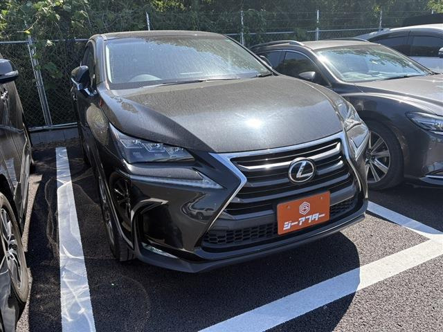 NX200t Iパッケージ