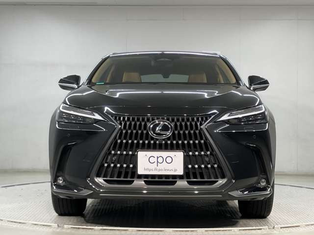 NX250 バージョンL