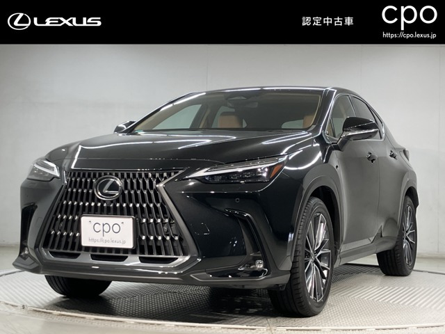 NX250 バージョンL