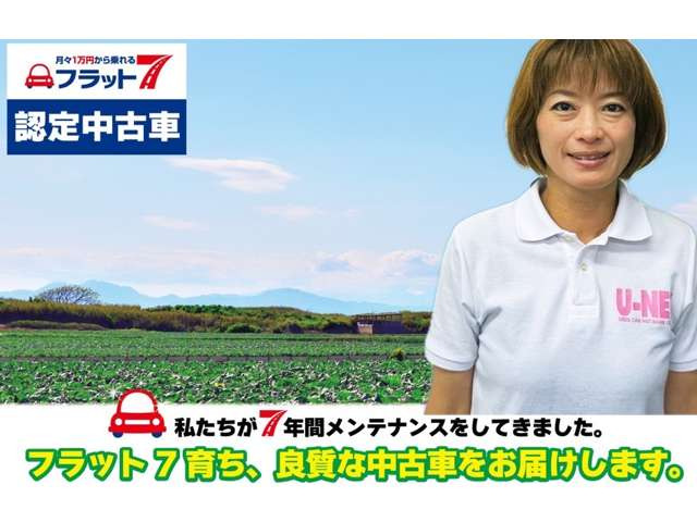 スペーシアハイブリッド(HYBRID)  X 4WD