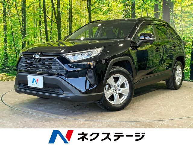 RAV42.0 X