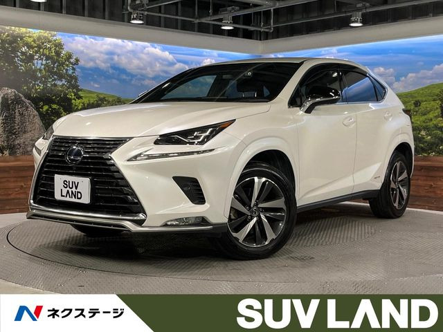 NX300h スパイス&amp;シック