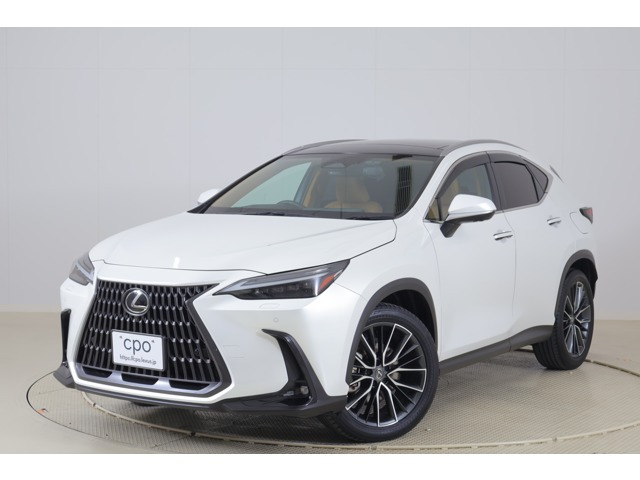 NX350h バージョンL