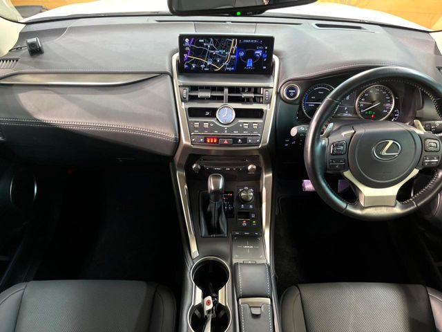 NX300h スパイス&amp;シック