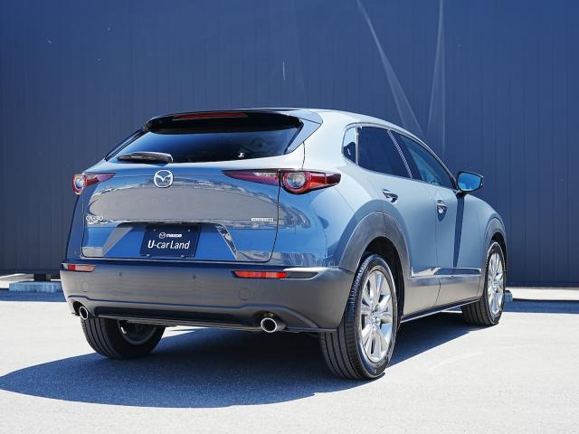 CX-301.8 XD プロアクティブ