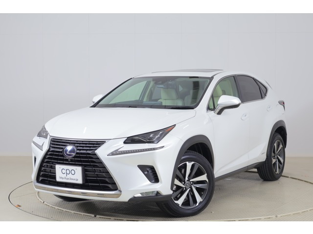 NX300h Iパッケージ