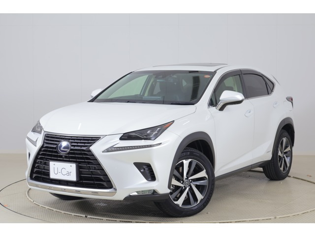 NX300h バージョンL
