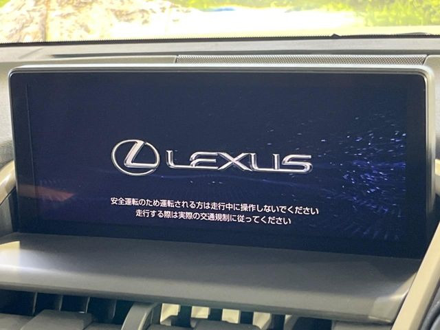 NX300h スパイス&amp;シック