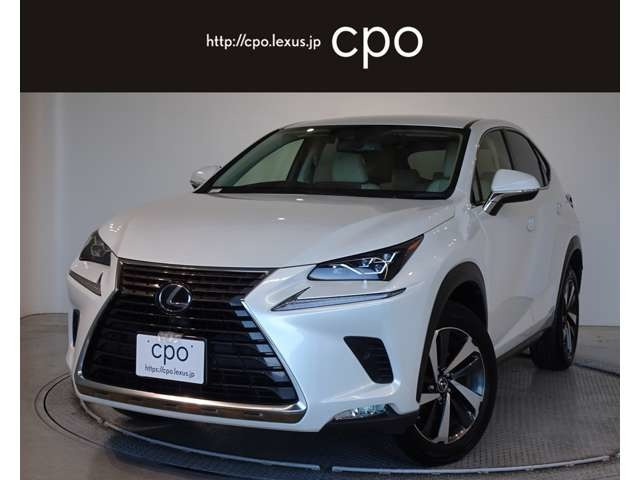 NX300h バージョンL 4WD