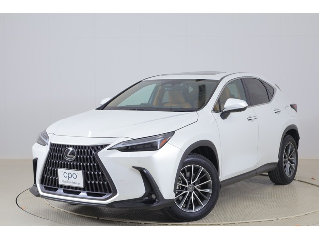 NX250 バージョンL