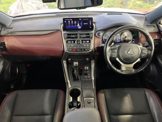 NX300h スパイス&amp;シック