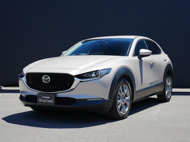 CX-302.0 20S プロアクティブ ツーリングセレクション