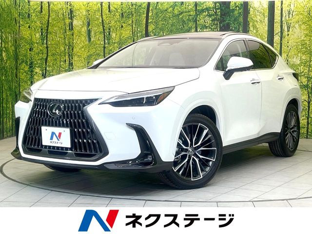 NX�i���N�T�X�j250 �o�[�W����L ���Îԉ摜