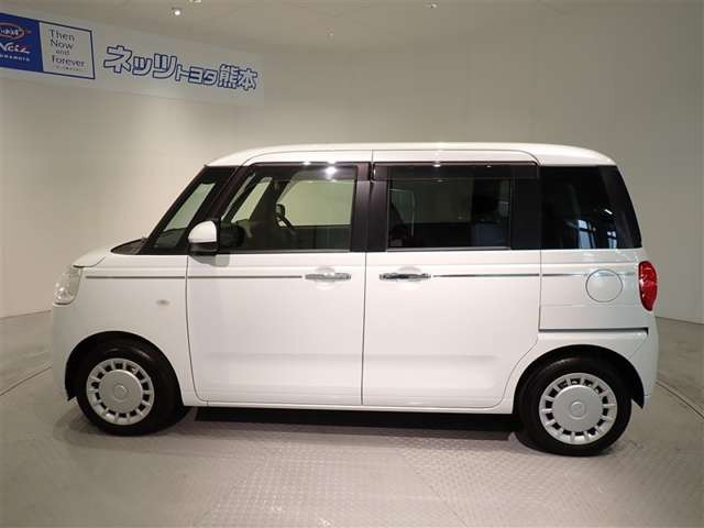 ムーヴキャンバスセオリー X